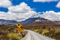 Kiwi sign and mount Ngauruhoe in New Zealand