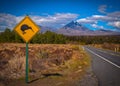 Kiwi sign in NZ landscape