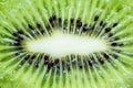 Beautiful slice of fresh and juicy kiwi Royalty Free Stock Photo