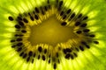 Kiwi slice under high magnification close up macro photo