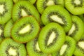 Kiwi slices Royalty Free Stock Photo