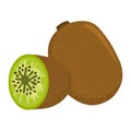 Kiwi vector.Fresh kiwi fruit illustration