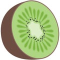 Kiwi vector fruit illustration icon on white