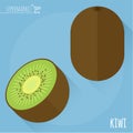 Kiwi vector icon