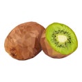 Kiwi. Vector illustration of exotic fruit in low poly style. Print design