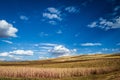 Kiwicha fields with blue skies Royalty Free Stock Photo