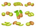 Kiwifruit or Kiwi as Edible Berry with Fibrous Brown Skin and Green Flesh with Tiny Black Seeds Vector Set