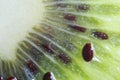 Kiwifruit macro