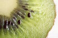 Kiwifruit macro