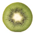A Kiwifruit Slice Royalty Free Stock Photo