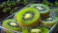 Kiwifruit slice kiwi Royalty Free Stock Photo
