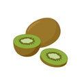 Kiwifruit vector illustration isolated on white background. Juicy tropical exotic kiwi fruit.