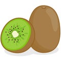 Kiwifruit on white background. Vector illustration