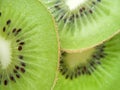 Kiwis Royalty Free Stock Photo