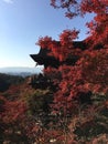 Kiyomisu-dera,temple in Kyoto