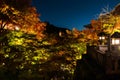 Kiyomizu-dera autumn light up, Kyoto