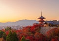 Kiyomizu Dera Pagoda Temple with red maple leaves or fall foliage in autumn season. Colorful trees, Kyoto, Japan. Nature and Royalty Free Stock Photo