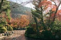 Kiyomizu-dera Temple autumn garden in Kyoto, Japan Royalty Free Stock Photo