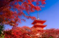 Kiyomizu-dera Temple in autumn , Kyoto, Japan Royalty Free Stock Photo