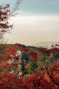 Kiyomizu-dera Temple and autumn red leaves in Kyoto, Japan Royalty Free Stock Photo