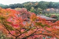 Kiyomizu-dera temple in autumn season in Kyoto, Japan Royalty Free Stock Photo