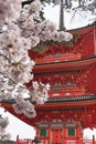 Kiyomizu dera temple and cherry blossom season Sakura on sprin Royalty Free Stock Photo