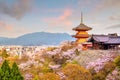 Kiyomizu-dera Temple and cherry blossom season Sakura spring t Royalty Free Stock Photo