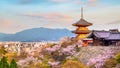 Kiyomizu-dera Temple and cherry blossom season Sakura spring t Royalty Free Stock Photo