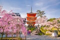 Kiyomizu-dera Temple and cherry blossom season Sakura spring t Royalty Free Stock Photo