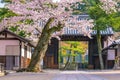 Kiyomizu-dera Temple and cherry blossom season Sakura spring t Royalty Free Stock Photo