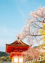 Kiyomizu-dera temple with cherry blossoms in Kyoto, Japan Royalty Free Stock Photo