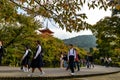 Kiyomizu-dera Temple complex - Kyoto, Japan Royalty Free Stock Photo