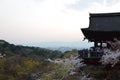 Kiyomizu-dera Temple in the evening on springtime