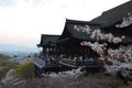 Kiyomizu-dera Temple in the evening on springtime