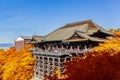Kiyomizu-dera Temple Kyoto with autumn leaves, Japan. Royalty Free Stock Photo