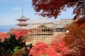 Kiyomizu-dera temple with red maple leaves under renovation period Royalty Free Stock Photo