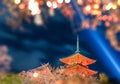 Kiyomizu dera, Travel destination for night Photograp beautiful Architecture and garden in autumn season Royalty Free Stock Photo