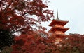 Pagoda three layer of roof with red leaves on the tree of autumn at Kiyomizu temple. Royalty Free Stock Photo