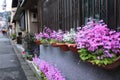 Kiyomizu Temple,Japan Royalty Free Stock Photo