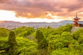 Kiyomizudera Temple aerial Royalty Free Stock Photo