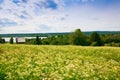 Kizhi. rural landscape day! Royalty Free Stock Photo