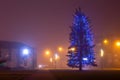 Klaipeda, Lithuania - 01 01 2021: Foggy New Year night in the city. Christmas tree with garland decoration outdoors in front of