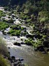 Klamath River Flow and Spring Grasses