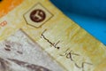 Klang, Malaysia: January 29th, 2024: Close-up view of Malaysian money banknotes with a deer symbol, the symbol of Bank Negara