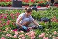 Seasonal workers in a greenhouse