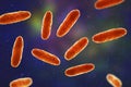 Klebsiella bacteria, a type of Gram-negative bacteria known for causing a range of infections, 3D illustration