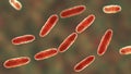Klebsiella bacteria, a type of Gram-negative bacteria known for causing a range of infections, 3D illustration