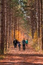 Kleinburg, Ontario, Canada - 11 07 2021: Tourists walking along the pathway amidst autumn colorful forest on Humber