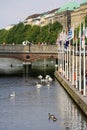 Kleine Alster in summer with swans and ducks swimming in lake Royalty Free Stock Photo