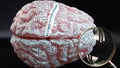Kleine levin syndrome in human brain